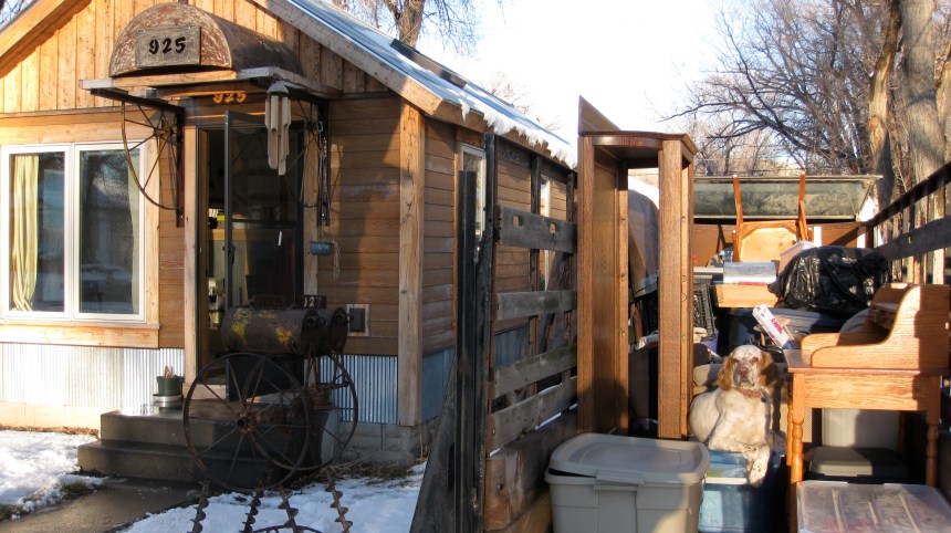 Doc loads himself into the horse trailer with our furniture in order to be sure he gets move north too