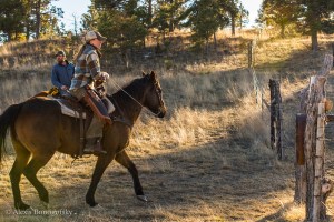 BONOGOFSKY-3010-150129-L