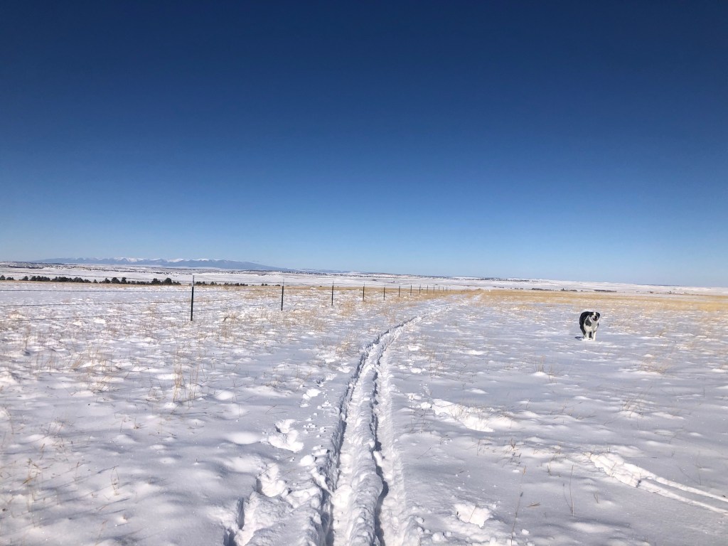 ski tracks and the Snowy Mountains